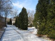 Михальче - Останні фото