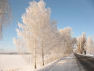 Обухів з panoramio.com