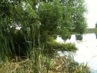 Любитове з panoramio.com