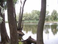 Чехівка - Останні фото