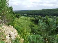 Гумниська з panoramio.com