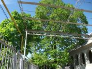 Лісне з panoramio.com