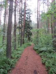 Язавні з panoramio.com