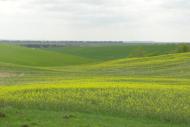 Пашківці з panoramio.com