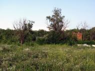 Хорошеве з panoramio.com