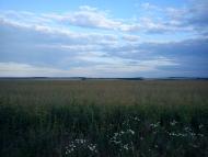 Долинівка - Останні фото