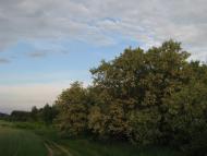 Лютенські Будища з panoramio.com