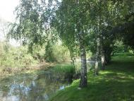 Терехівка з panoramio.com