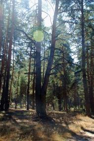 Думанці з panoramio.com