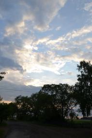 Облапи з panoramio.com