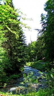 Пилипець з panoramio.com