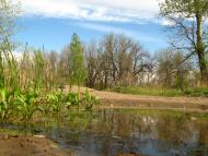 Краснодон з panoramio.com (ч.2)