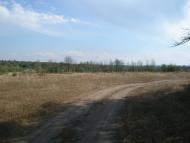 Синюхин Брід з panoramio.com