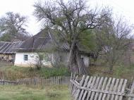 В'язівок з panoramio.com