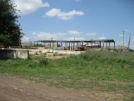 Лісне з panoramio.com