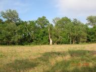 Вилкове з panoramio.com (ч.2)