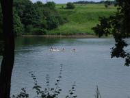 Софіївка з panoramio.com