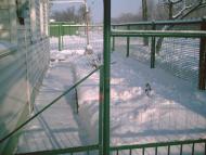 Іллічівське з panoramio.com