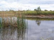 Збраньківці з panoramio.com