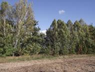 Людвинівка з panoramio.com