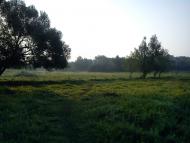 Долинівка з panoramio.com