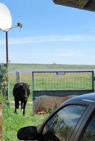 Щорсове з panoramio.com