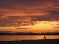 Вишеньки з panoramio.com