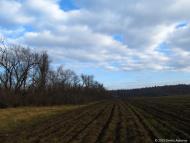 Стародобровільське з panoramio.com