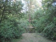 Кияшки з panoramio.com