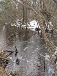 Залісся - Останні фото