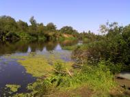 Скиток з panoramio.com