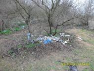 Челядиново - Последние фото