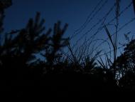 Губин з panoramio.com