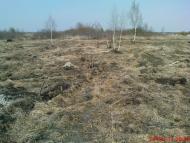 Бондарня - Останні фото