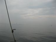 Очаків з panoramio.com