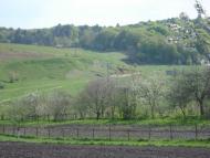 Зарудці з panoramio.com