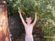 Абрикосівка - Останні фото