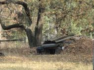 Піщане з panoramio.com