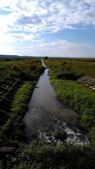 Переросля з panoramio.com