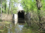 Лісники з panoramio.com