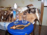 Стрілкове з panoramio.com (ч.2)