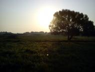 Долинівка з panoramio.com