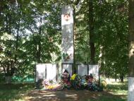 Виноградівка з panoramio.com