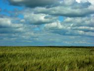 Думанці з panoramio.com