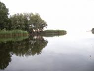 Чехівка з panoramio.com