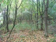 Грузевиця з panoramio.com