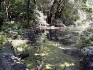 Приліпка з panoramio.com