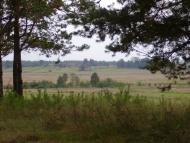 Куліші - Останні фото