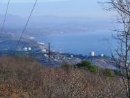 Виноградний - Останні фото