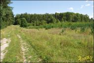 Березівка з panoramio.com